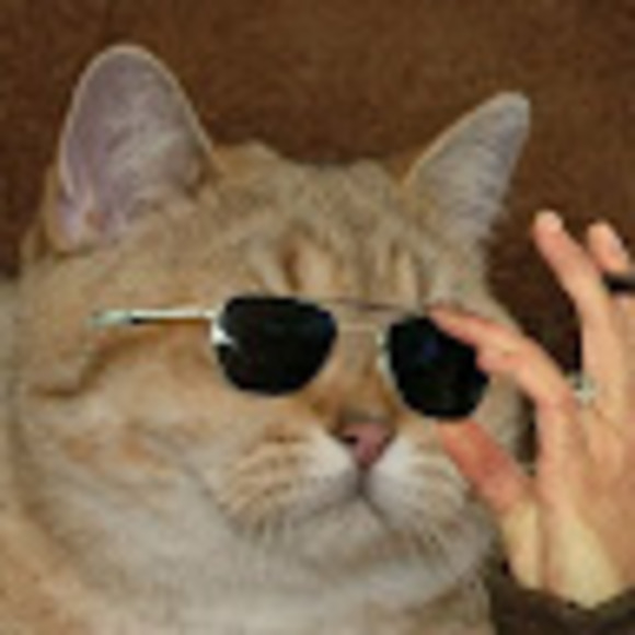 Meet your Posher, Stuart - Picture 1 of 1